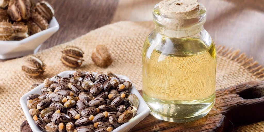 Manfaat Castor Oil untuk Kesehatan Rambut, Kulit, dan Kesejahteraan Alami