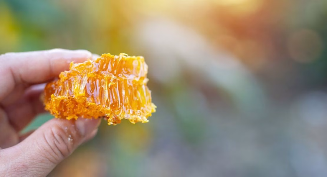 Beeswax untuk Wajah Solusi Alami Menjaga Kelembapan Kulit